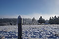 DSC00127 - Bernhard Saalfeld