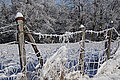 DSC00128 - Bernhard Saalfeld