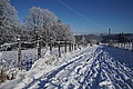DSC00130 - Bernhard Saalfeld