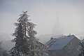 DSC00132 - Bernhard Saalfeld