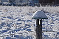 DSC00134 - Bernhard Saalfeld