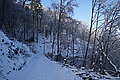 DSC00140 - Bernhard Saalfeld