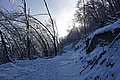 DSC00141 - Bernhard Saalfeld