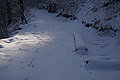DSC00143 - Bernhard Saalfeld