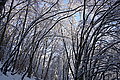 DSC00144 - Bernhard Saalfeld