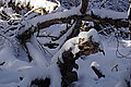 DSC00146 - Bernhard Saalfeld