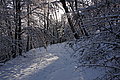 DSC00147 - Bernhard Saalfeld