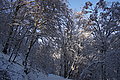 DSC00148 - Bernhard Saalfeld