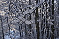 DSC00149 - Bernhard Saalfeld