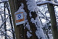 DSC00150 - Bernhard Saalfeld