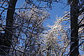 DSC00151 - Bernhard Saalfeld