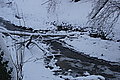 DSC00154 - Bernhard Saalfeld