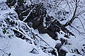 DSC00155 - Bernhard Saalfeld