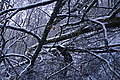 DSC00156 - Bernhard Saalfeld