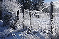 DSC00160 - Bernhard Saalfeld