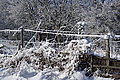 DSC00161 - Bernhard Saalfeld