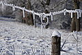 DSC00162 - Bernhard Saalfeld