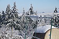 DSC00167 - Bernhard Saalfeld