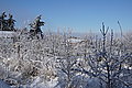 DSC00168 - Bernhard Saalfeld