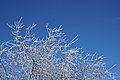 DSC00170 - Bernhard Saalfeld