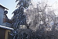 DSC00174 - Bernhard Saalfeld