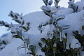 DSC00176 - Bernhard Saalfeld