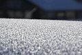DSC00179 - Bernhard Saalfeld