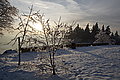 DSC00180 - Bernhard Saalfeld