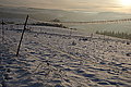 DSC00181 - Bernhard Saalfeld