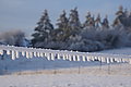 DSC00185 - Bernhard Saalfeld