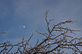 DSC00190 - Bernhard Saalfeld