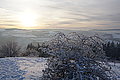 DSC00191 - Bernhard Saalfeld