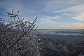 DSC00192 - Bernhard Saalfeld