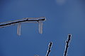 DSC00193 - Bernhard Saalfeld