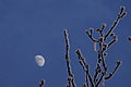 DSC00202 - Bernhard Saalfeld