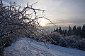 DSC00206 - Bernhard Saalfeld
