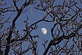 DSC00213 - Bernhard Saalfeld
