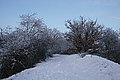 DSC00223 - Bernhard Saalfeld
