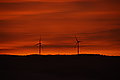 DSC00233 - Bernhard Saalfeld