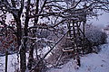 DSC00238 - Bernhard Saalfeld