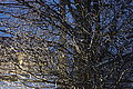 DSC00242 - Bernhard Saalfeld
