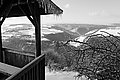L1002552 - Bernhard Saalfeld