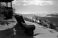 L1002558 - Bernhard Saalfeld