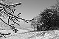 L1002561 - Bernhard Saalfeld