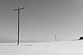 L1002563 - Bernhard Saalfeld