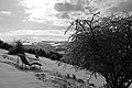 L1002569 - Bernhard Saalfeld
