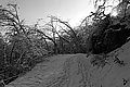 L1002595 - Bernhard Saalfeld