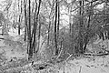 L1002600 - Bernhard Saalfeld