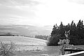L1002608 - Bernhard Saalfeld