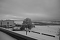 L1002612 - Bernhard Saalfeld